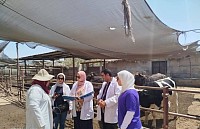 القوافل الطبيه البيطرية