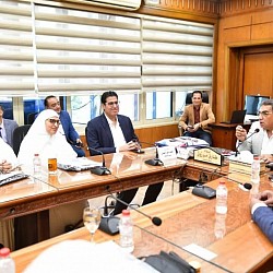 محافظ الدقهلية
