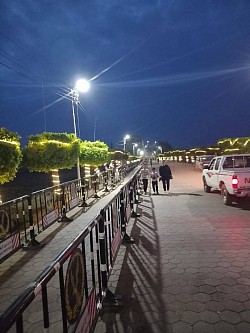 عروس الدلتا
